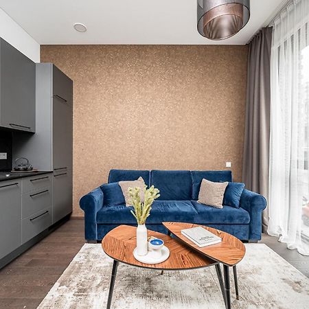 Vilnius Old Town Studio Renessaince 5 المظهر الخارجي الصورة