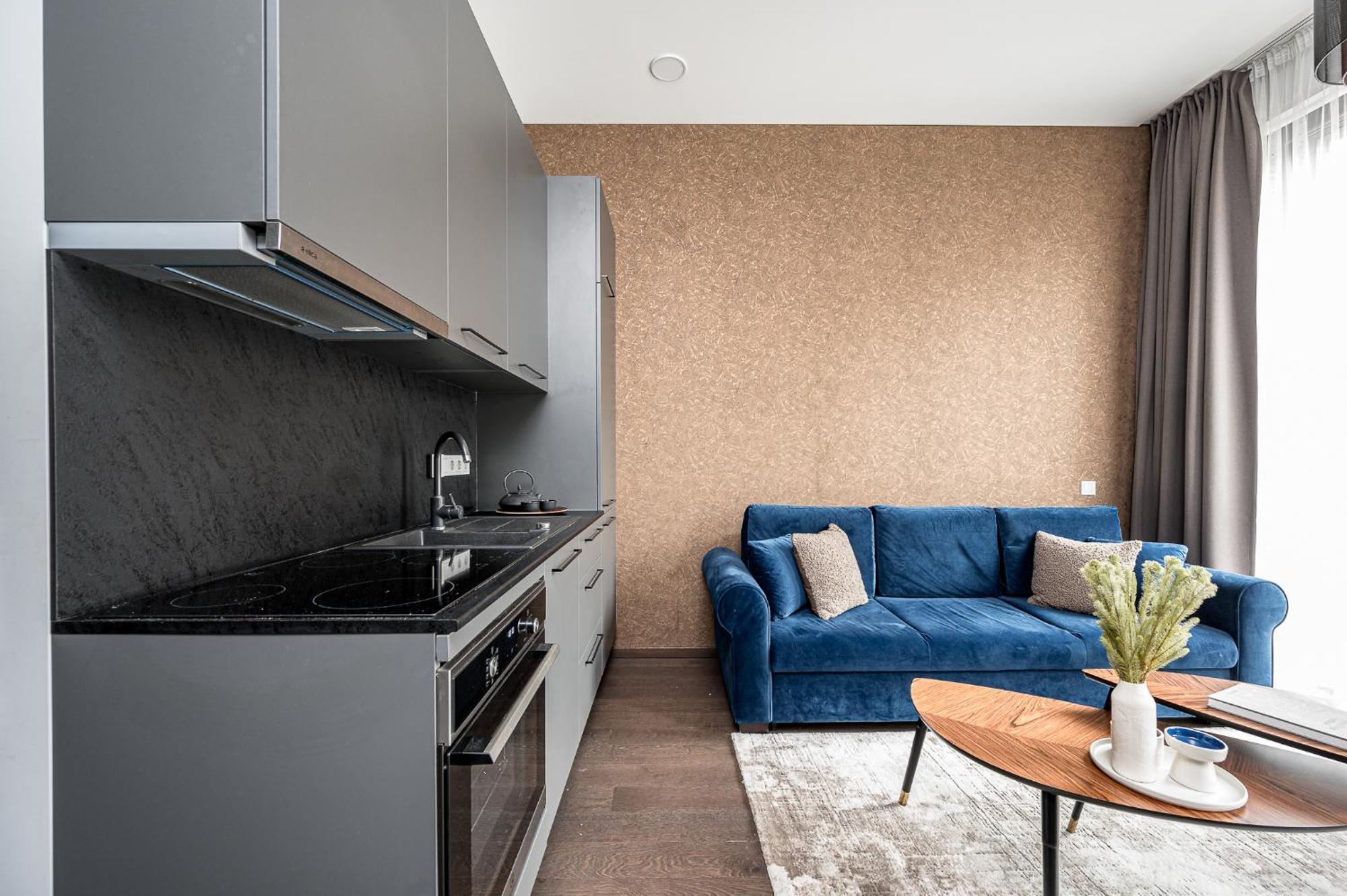 Vilnius Old Town Studio Renessaince 5 المظهر الخارجي الصورة